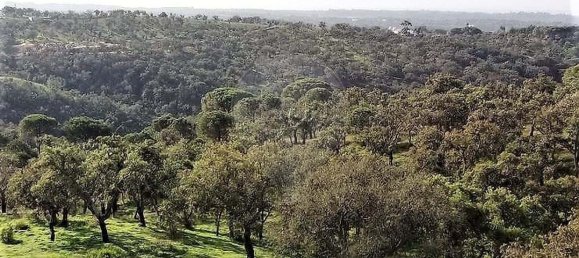 2 bedrooms Land in Grandola, Portugal No. 110700 7