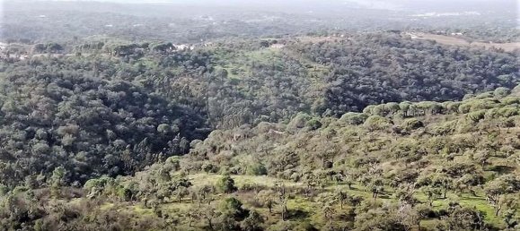 2 bedrooms Land in Grandola, Portugal No. 110700 3