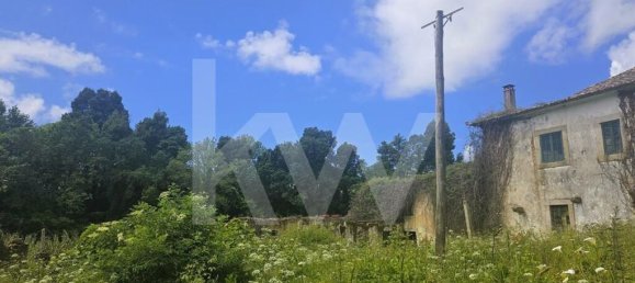 5 bedrooms House in Oliveira de Azemeis, Portugal No. 87626 22