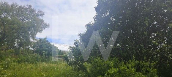 5 bedrooms House in Oliveira de Azemeis, Portugal No. 87626 5