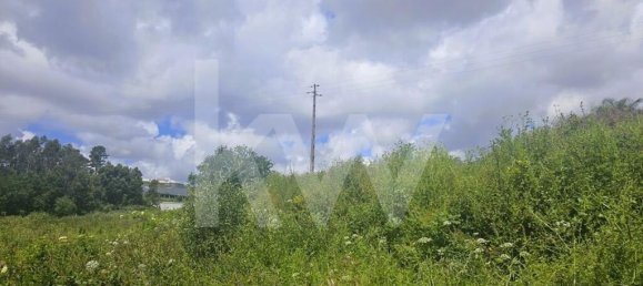 5 bedrooms House in Oliveira de Azemeis, Portugal No. 87626 46