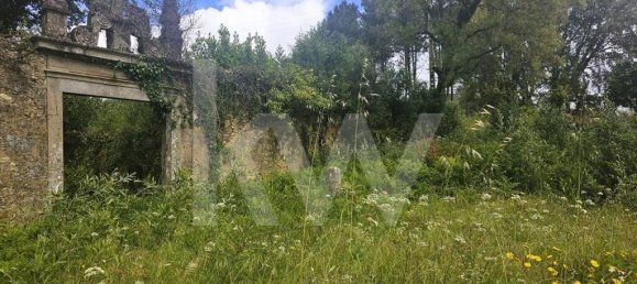 5 bedrooms House in Oliveira de Azemeis, Portugal No. 87626 8