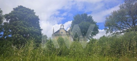 5 bedrooms House in Oliveira de Azemeis, Portugal No. 87626 14