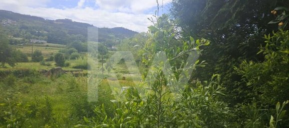 5 bedrooms House in Oliveira de Azemeis, Portugal No. 87626 12