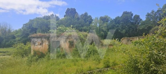 5 bedrooms House in Oliveira de Azemeis, Portugal No. 87626 17