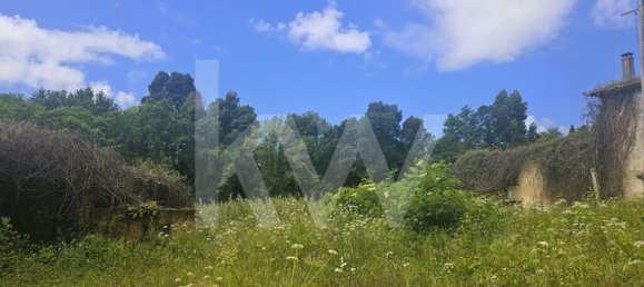 5 bedrooms House in Oliveira de Azemeis, Portugal No. 87626 21