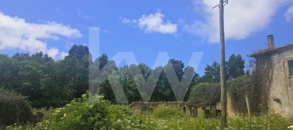 5 bedrooms House in Oliveira de Azemeis, Portugal No. 87626 23