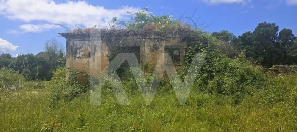 5 bedrooms House in Oliveira de Azemeis, Portugal No. 87626 18