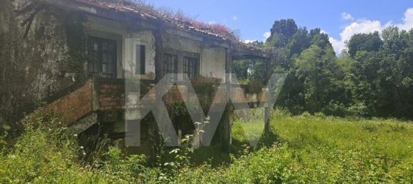 5 bedrooms House in Oliveira de Azemeis, Portugal No. 87626 40