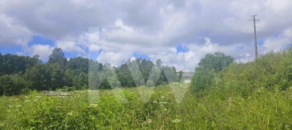 5 bedrooms House in Oliveira de Azemeis, Portugal No. 87626 44