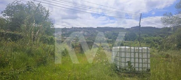 5 bedrooms House in Oliveira de Azemeis, Portugal No. 87626 19