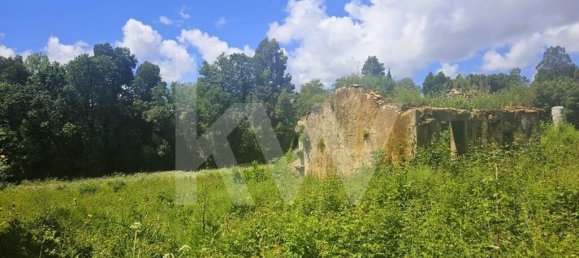 5 bedrooms House in Oliveira de Azemeis, Portugal No. 87626 31