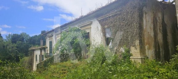 5 bedrooms House in Oliveira de Azemeis, Portugal No. 87626 6