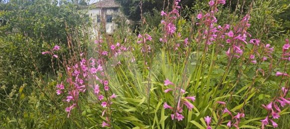 5 bedrooms House in Oliveira de Azemeis, Portugal No. 87626 16