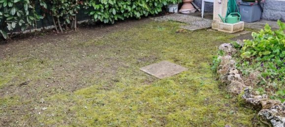 5-Zimmer Haus in San Pietro in Casale, Italy, Nr. 15817 2