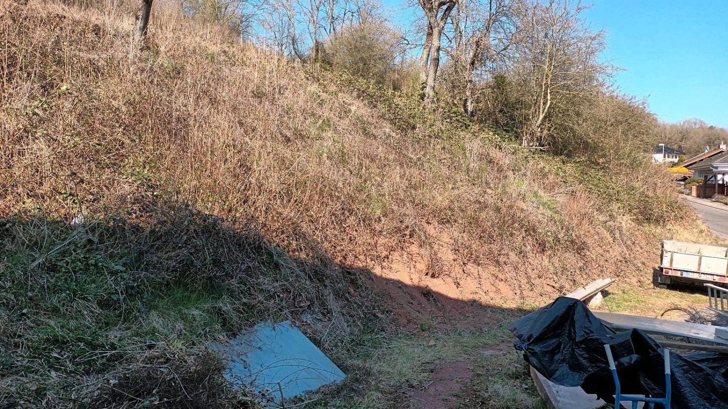  Land in Donnersbergkreis, Germany No. 238327