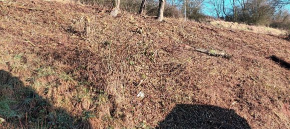  Land in Donnersbergkreis, Germany No. 238327 2