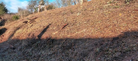  Land in Donnersbergkreis, Germany No. 238327 3