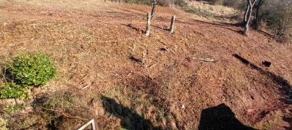  Land in Donnersbergkreis, Germany No. 238327 5