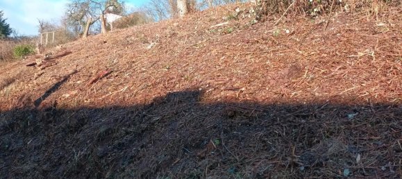  Land in Donnersbergkreis, Germany No. 238327 4