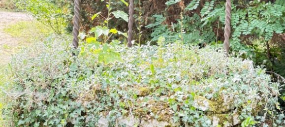 8 Schlafzimmer Villa in Aubigny-sur-Nere, France, Nr. 317238 18