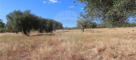 1 bedroom House in Idanha a Nova, Portugal No. 63153 4