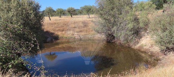 1 bedroom House in Idanha a Nova, Portugal No. 63153 3