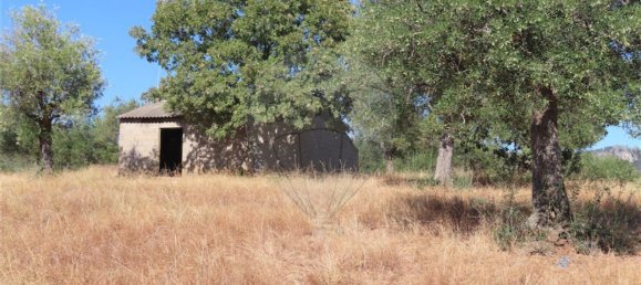 1 bedroom House in Idanha a Nova, Portugal No. 63153 10