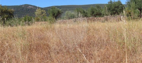 1 bedroom House in Idanha a Nova, Portugal No. 63153 25