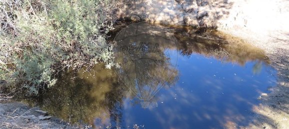 1 bedroom House in Idanha a Nova, Portugal No. 63153 23