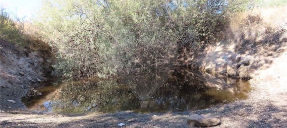 1 bedroom House in Idanha a Nova, Portugal No. 63153 22