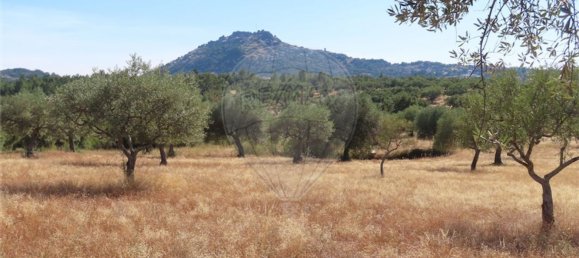 1 bedroom House in Idanha a Nova, Portugal No. 63153 29