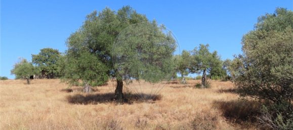 1 bedroom House in Idanha a Nova, Portugal No. 63153 6