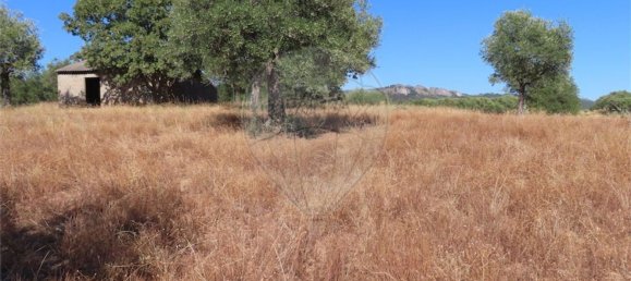 1 bedroom House in Idanha a Nova, Portugal No. 63153 7