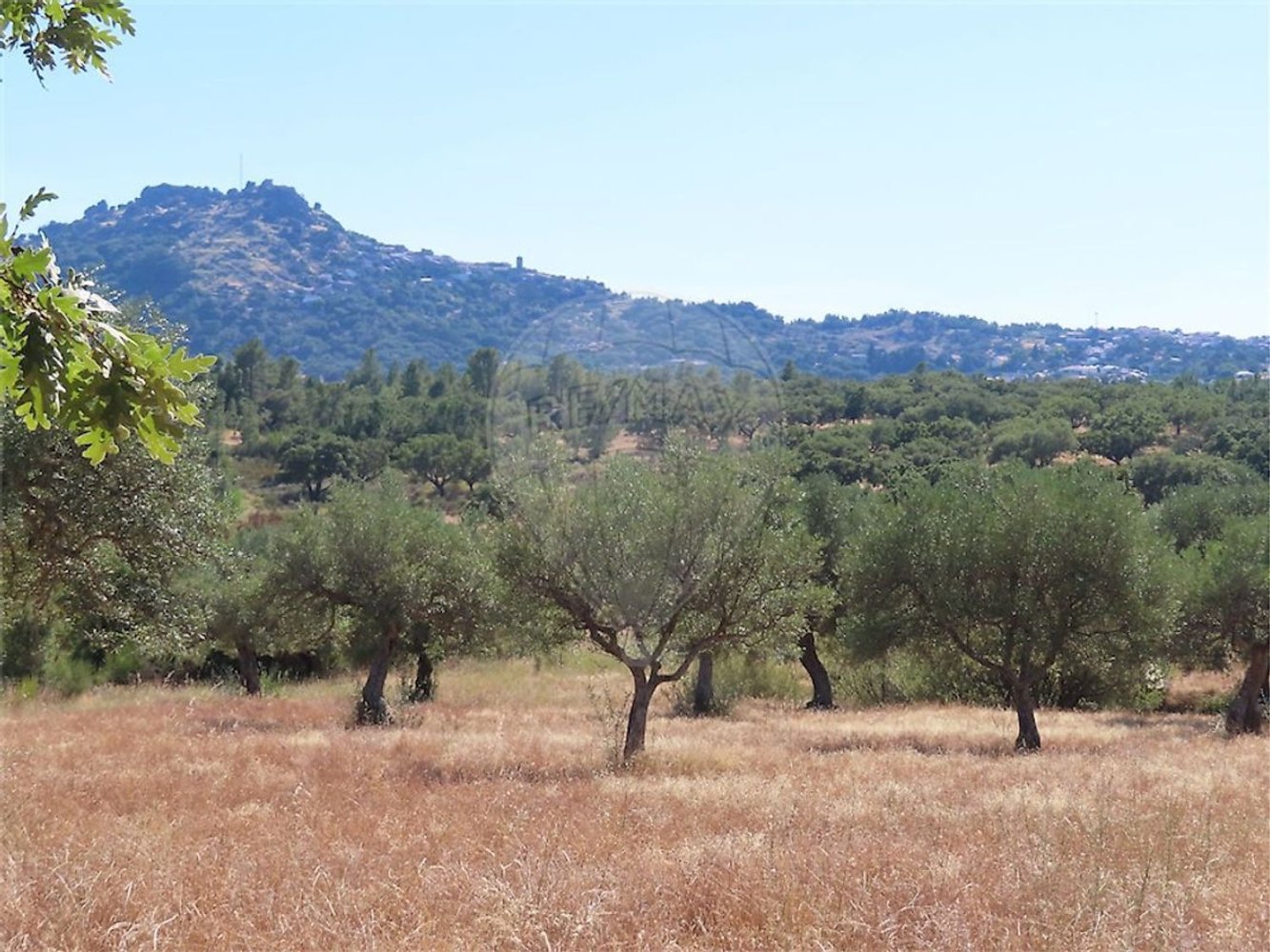 1 bedroom House in Idanha a Nova, Portugal No. 63153