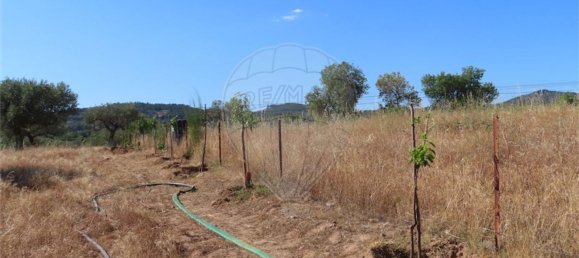 1 bedroom House in Idanha a Nova, Portugal No. 63153 24