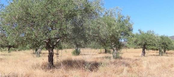 1 bedroom House in Idanha a Nova, Portugal No. 63153 18