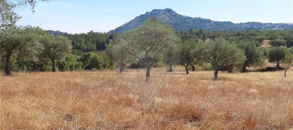 1 bedroom House in Idanha a Nova, Portugal No. 63153 11