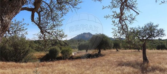 1 bedroom House in Idanha a Nova, Portugal No. 63153 30