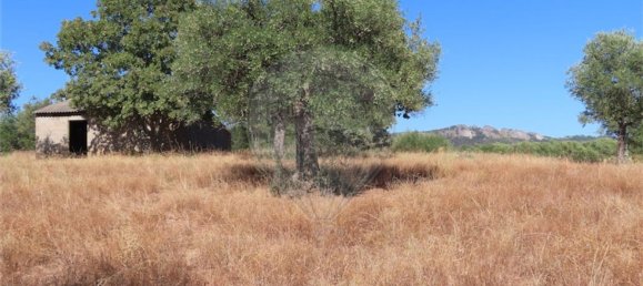 1 bedroom House in Idanha a Nova, Portugal No. 63153 8