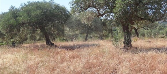 1 bedroom House in Idanha a Nova, Portugal No. 63153 28