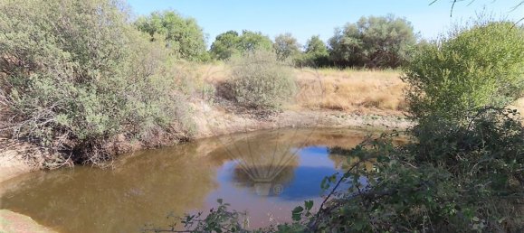 1 bedroom House in Idanha a Nova, Portugal No. 63153 5