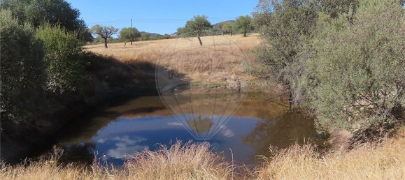 1 bedroom House in Idanha a Nova, Portugal No. 63153 14