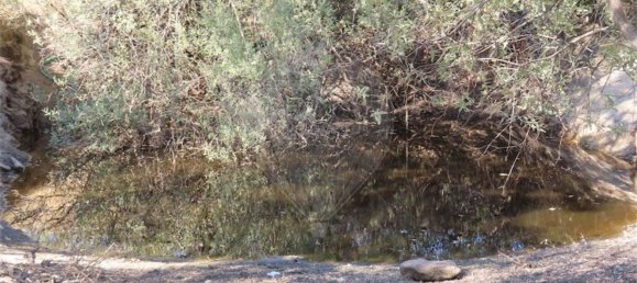 1 bedroom House in Idanha a Nova, Portugal No. 63153 20