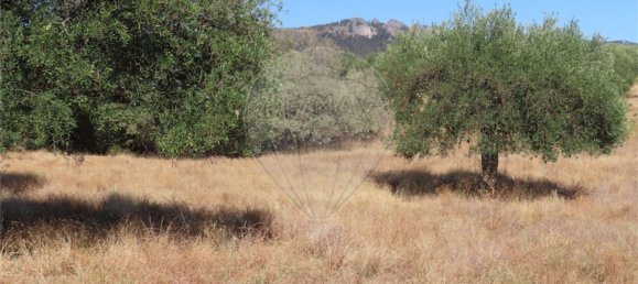 1 bedroom House in Idanha a Nova, Portugal No. 63153 19