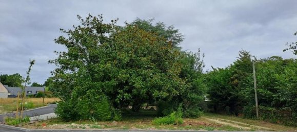 Grundstück in Crach, France 468m², Nr. 326331 3