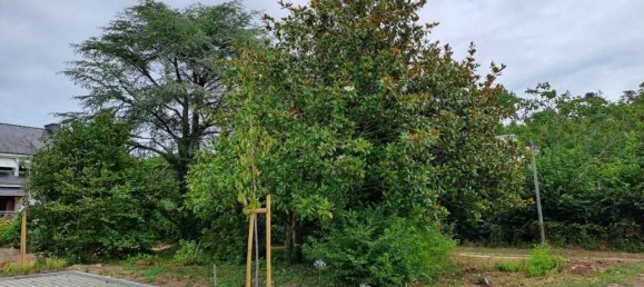 Grundstück in Crach, France 468m², Nr. 326331 4