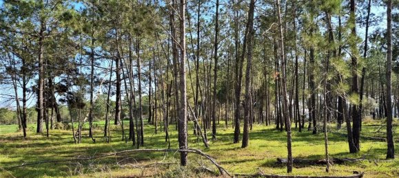 35020m² Land in Lagos, Portugal No. 128497 2