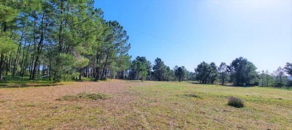 35020m² Land in Lagos, Portugal No. 128497 4