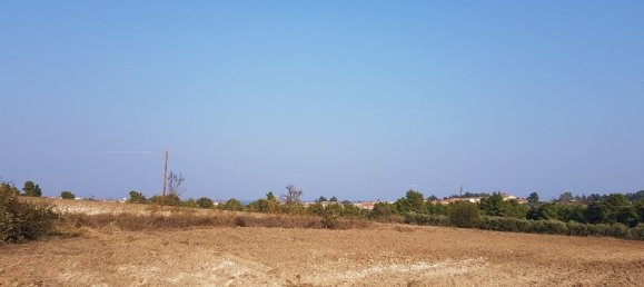 11005m² Hotel in Chalkidiki, Greece No. 5404 4